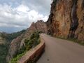 corse 032